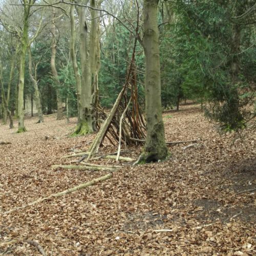 QE Country Park 032